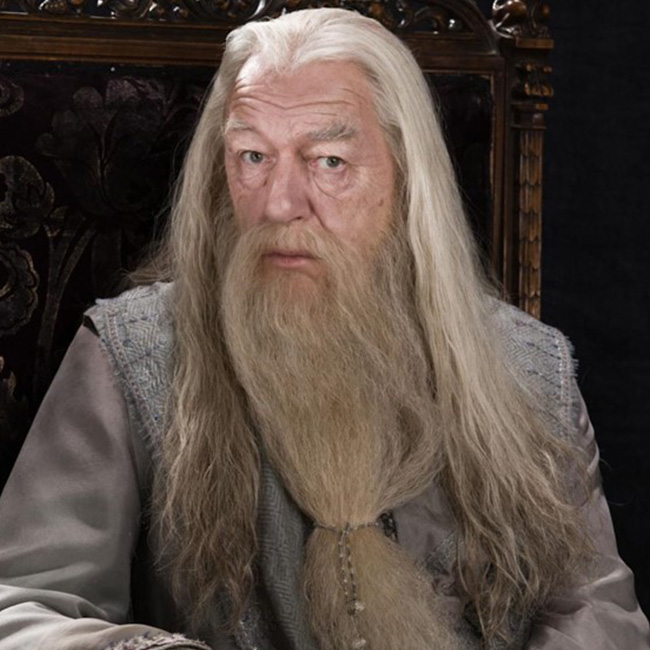 アルバス・ダンブルドア | ハリー・ポッター | ワーナー